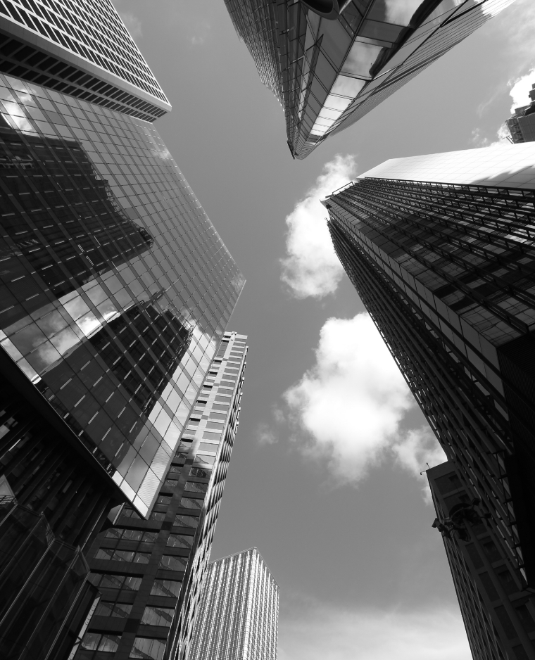 代表取締役　平山 大地